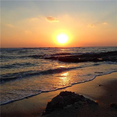 亚博网APP最新版本手机版截图