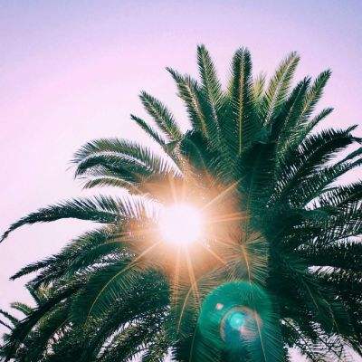 bob体体育app下载