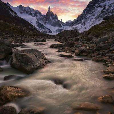 大四喜下载手机版