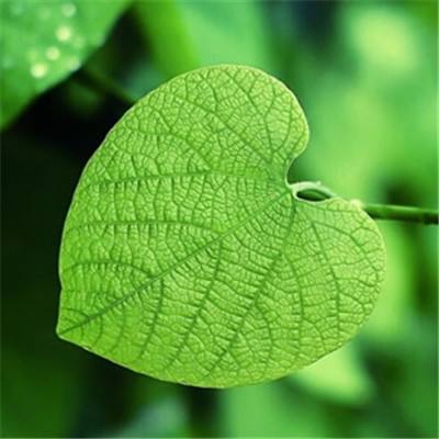 LD乐动体育官方入口